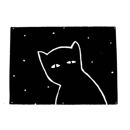 The Cat Sees in the Dark